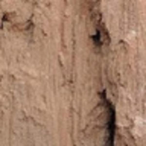 Meet your Posher, Dan